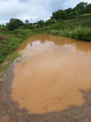 정은희 님의 자유주제 · 자유게시판 작성글 사진