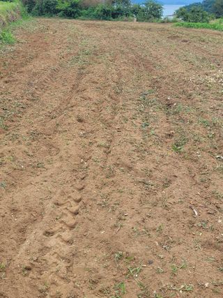 정동출님의 장마 대비 어떻게 하셨나요? · 참여 작성글 사진