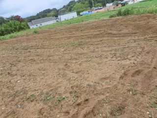 정동출님의 장마 대비 어떻게 하셨나요? · 참여 작성글 사진