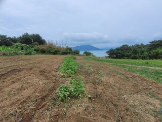 정동출님의 장마 대비 어떻게 하셨나요? · 참여 작성글 사진