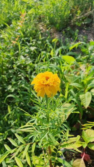 황의성님의 자유주제 · 사진전 작성글 사진