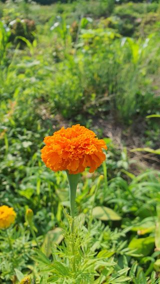 황의성님의 자유주제 · 사진전 작성글 사진