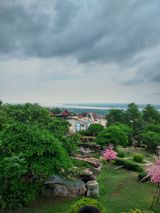 팜모닝 장마 대비 어떻게 하셨나요?·참여 게시글 이미지