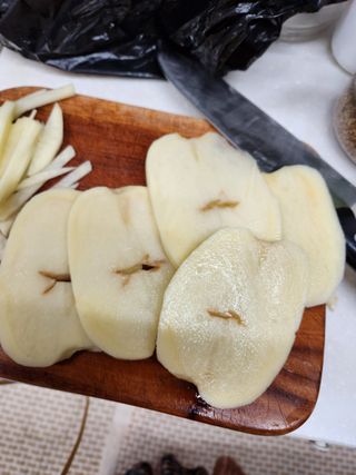 손윤영/수채화농원님의 감자 · 병해충상담 작성글 사진