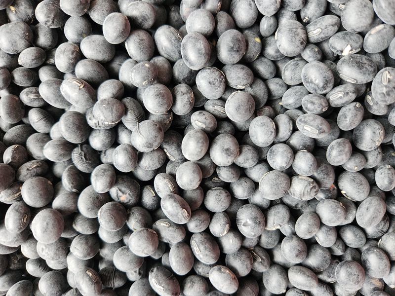 장터 상품 [서리태] 썸네일