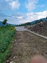 팜모닝 장마 대비 어떻게 하셨나요?·참여 게시글 이미지