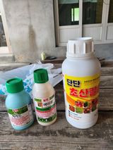 팜모닝 고추·영농일지 게시글 이미지