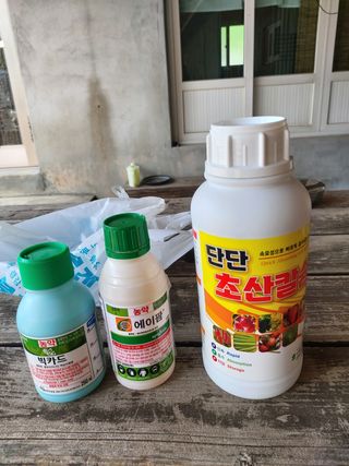 풍작님의 고추 · 영농일지 작성글 사진