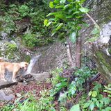 팜모닝 자유주제·사진전 게시글 이미지