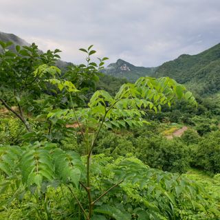 황준영님의 자유주제 · 사진전 작성글 사진