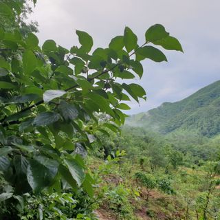 황준영님의 자유주제 · 사진전 작성글 사진
