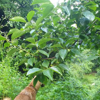 황준영님의 자유주제 · 사진전 작성글 사진