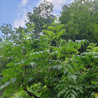 황준영님의 자유주제 · 사진전 작성글 사진