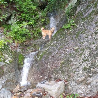 황준영님의 자유주제 · 사진전 작성글 사진