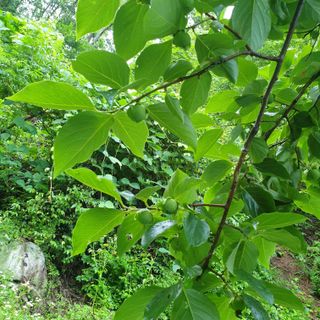 황준영님의 자유주제 · 사진전 작성글 사진