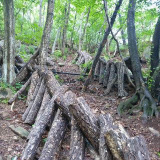 황준영님의 자유주제 · 사진전 작성글 사진