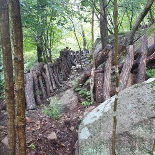 황준영님의 자유주제 · 사진전 작성글 사진