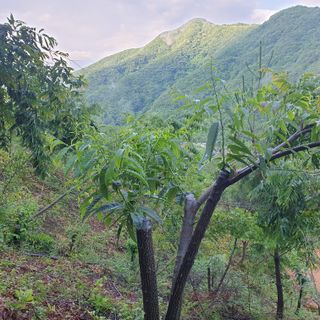 황준영님의 자유주제 · 사진전 작성글 사진