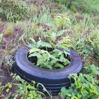 황준영님의 자유주제 · 사진전 작성글 사진