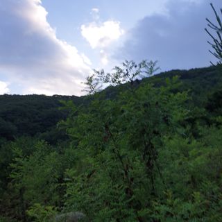 황준영님의 자유주제 · 사진전 작성글 사진