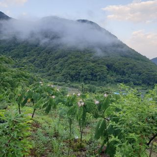 황준영님의 자유주제 · 사진전 작성글 사진