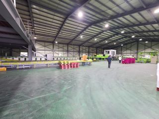 팜모닝 정인근님의 호박 · 자유게시판 작성글 사진