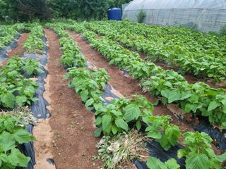 박진희님의 자유주제 · 자유게시판 작성글 사진