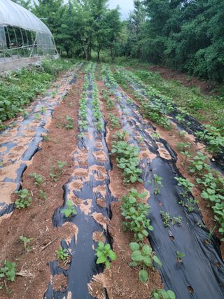 박진희님의 자유주제 · 자유게시판 작성글 사진