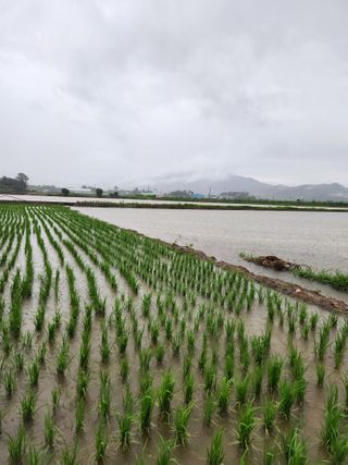 알 수 없음님의 우리동네 · 동네정보 작성글 사진