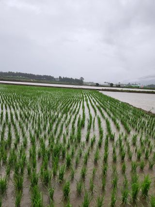 알 수 없음님의 우리동네 · 동네정보 작성글 사진