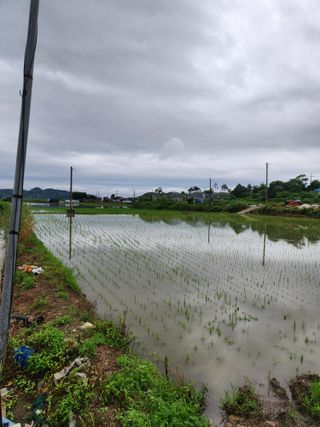 알 수 없음님의 우리동네 · 동네정보 작성글 사진