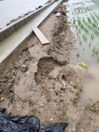알 수 없음님의 우리동네 · 동네정보 작성글 사진