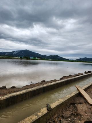 알 수 없음님의 우리동네 · 동네정보 작성글 사진