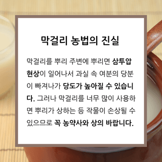 팜모닝 농사공부님의 매일매일 농사공부 · 매일매일 농사공부 작성글 사진