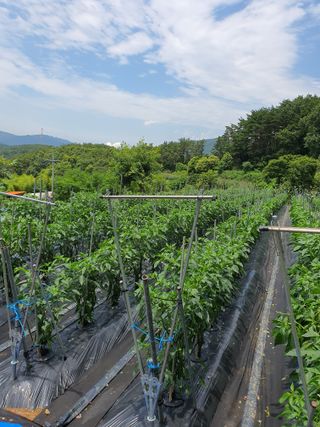 주*희님의 자유주제 · 자유게시판 작성글 사진
