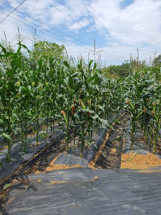 주*희님의 자유주제 · 자유게시판 작성글 사진