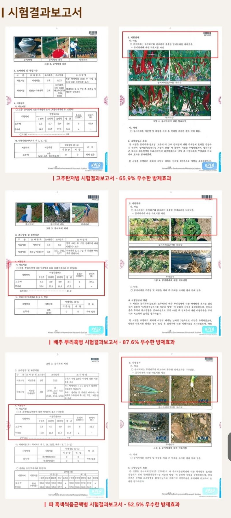 대산농사대장님의 장터 판매 상품 [🌟모두싹 프리미엄  병. 충해🌶 탄저병 예방  세트   파워칼마 증정 500ml  3병    ] 첨부 사진