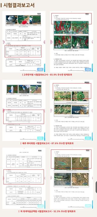 대산농사대장님의 작성글 사진