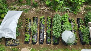 귀촌의그날까지님의 장마 대비 어떻게 하셨나요? · 참여 작성글 사진