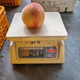 팜모닝 복숭아·자유게시판 게시글 이미지