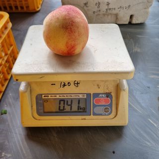 피치나라님의 복숭아 · 자유게시판 작성글 사진