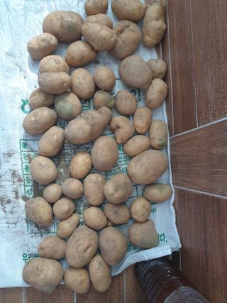 경기도님의 장마 대비 어떻게 하셨나요? · 참여 작성글 사진