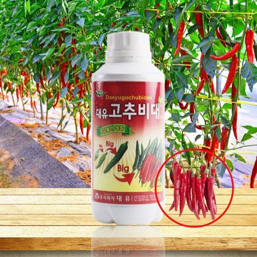 식물보호닷컴님의 장터 판매 상품 [고추영양제 모음) 대유 마이킹 250ml] 첨부 사진