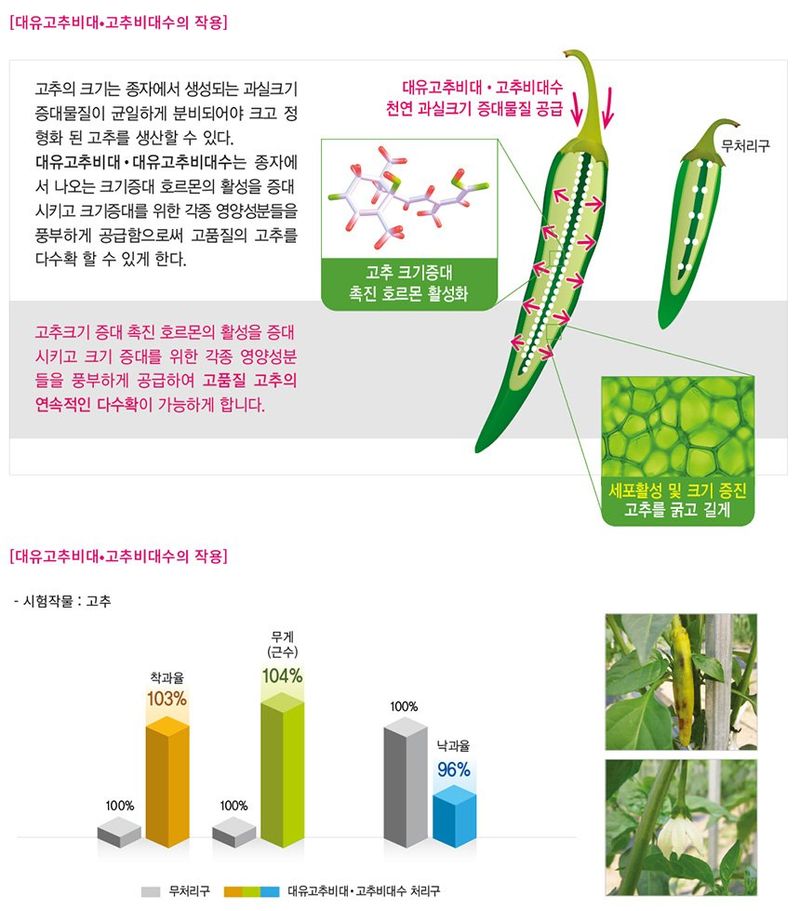 식물보호닷컴님의 장터 판매 상품 [고추영양제 모음) 대유 마이킹 250ml] 첨부 사진