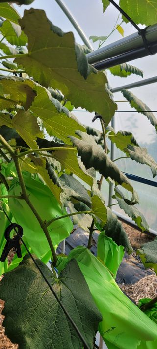 권정회님의 기타작물 · 자유게시판 작성글 사진