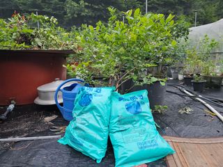 김성열님의 감 · 영농일지 작성글 사진