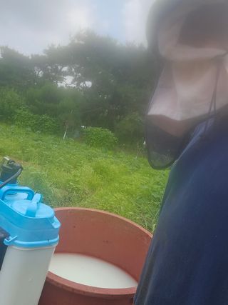 감자1963초보농부님의 고추 · 일상 작성글 사진