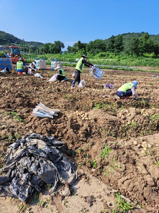 좋은인연원님의 장터이야기 · 자유게시판 작성글 사진