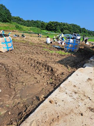 좋은인연원님의 장터이야기 · 자유게시판 작성글 사진