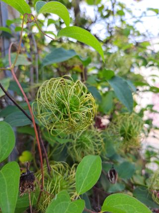 좋은인연원님의 장터이야기 · 자유게시판 작성글 사진